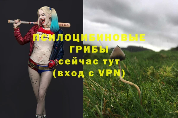 амф Михайлов